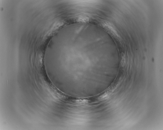 X0000088750363200706141734