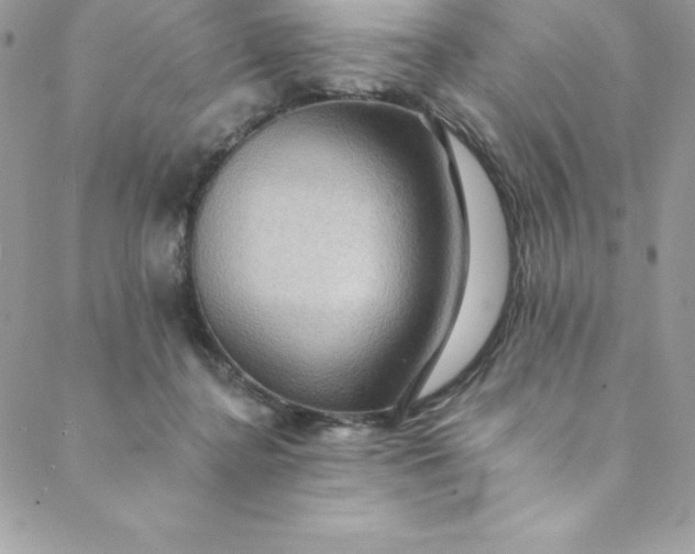 X0000088750364200706141734