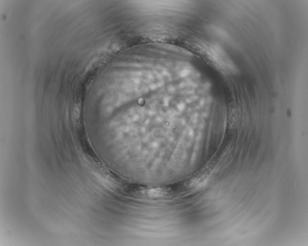 X0000088750365200706141734