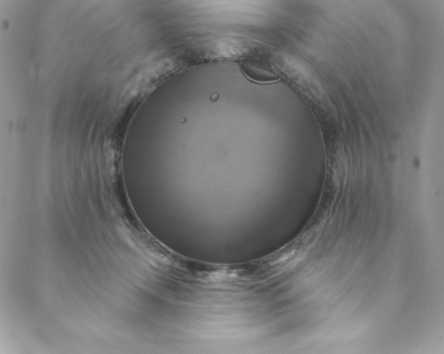 X0000088750366200706141734