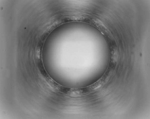 X0000088750368200706141734