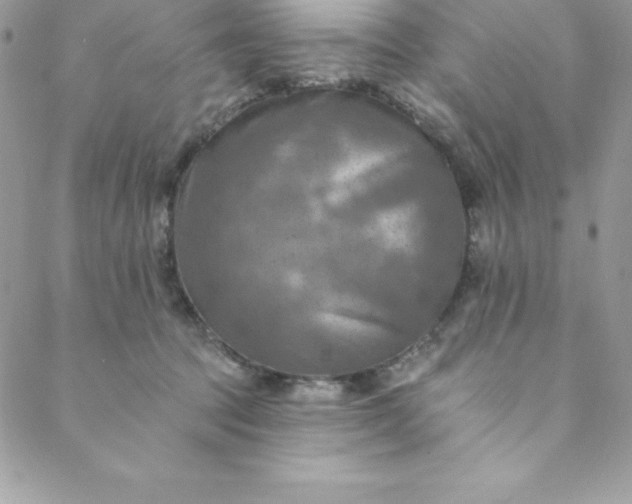 X0000088750369200706141734