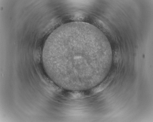 X0000088750370200706141734