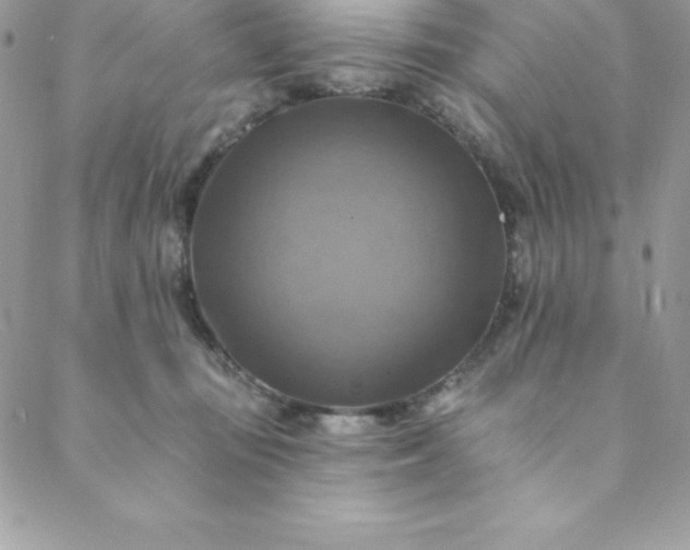 X0000088750371200706141734