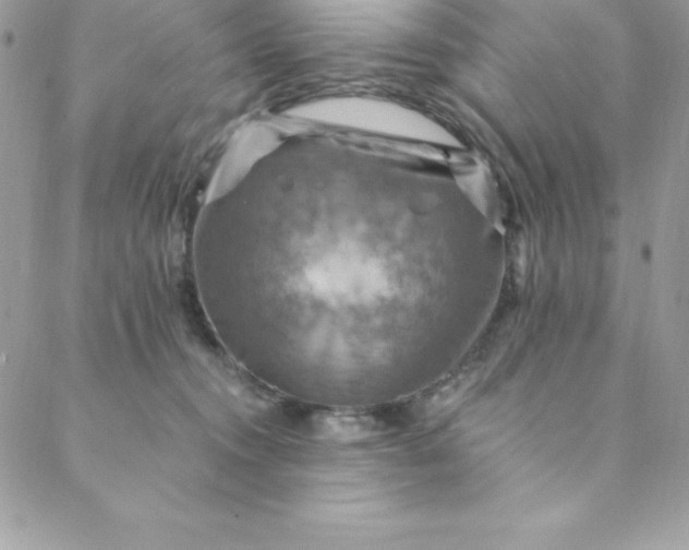 X0000088750372200706141734