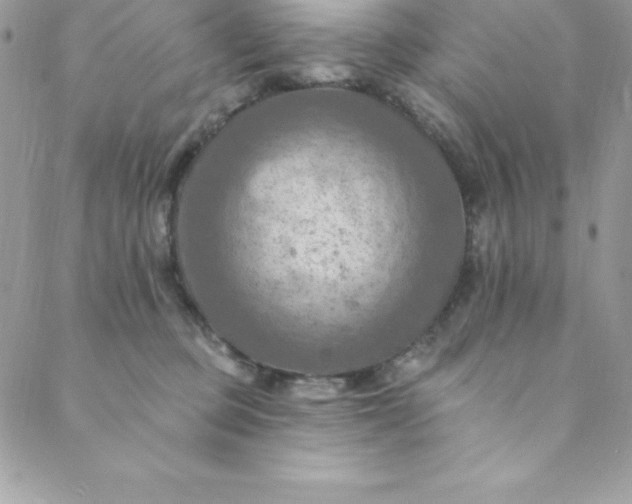 X0000088750373200706141734