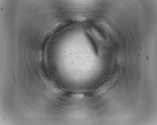 X0000088750374200706141734