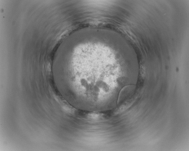 X0000088750375200706141734