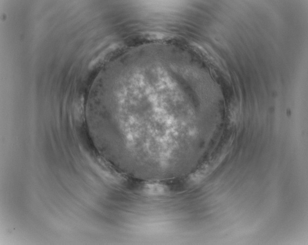 X0000088750376200706141734