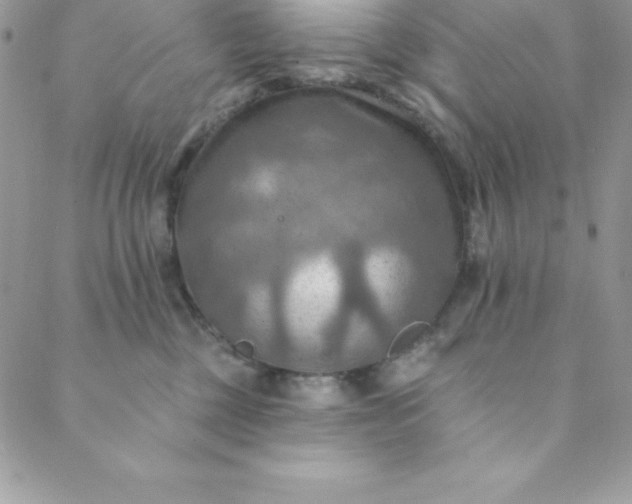 X0000088750377200706141734