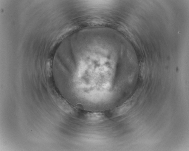 X0000088750378200706141734