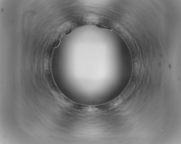 X0000088750379200706141734