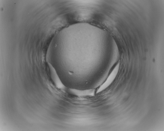 X0000088750380200706141734