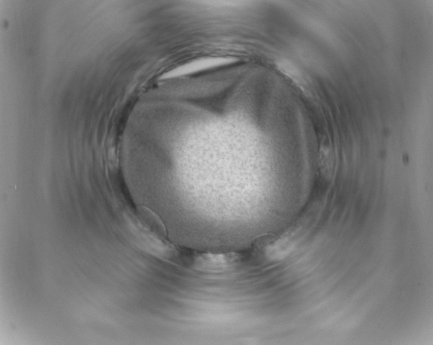 X0000088750381200706141734