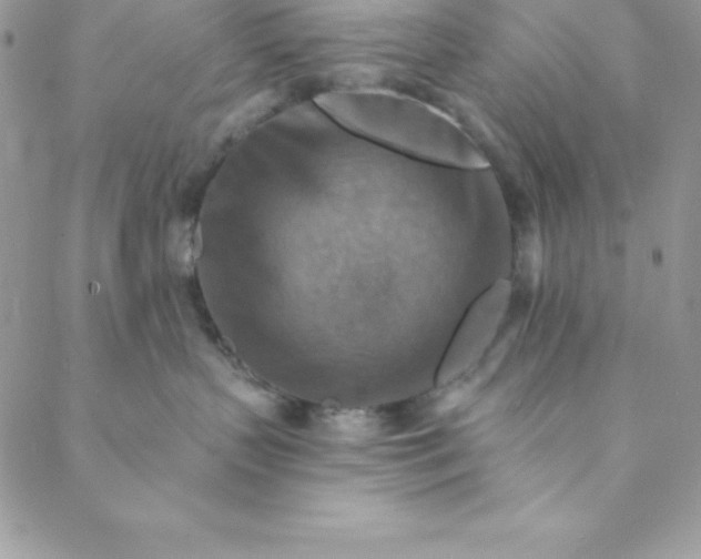 X0000088750383200706141734