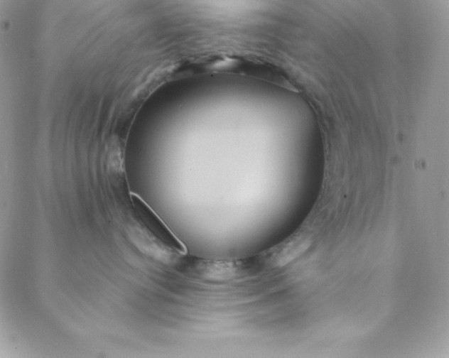 X0000088750384200706141734