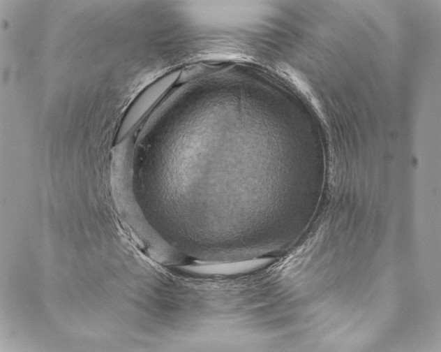 X0000088750385200706141733