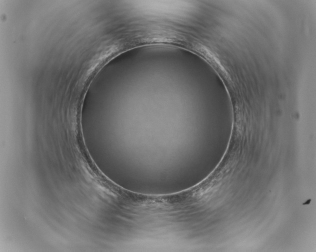 X0000088750386200706141733