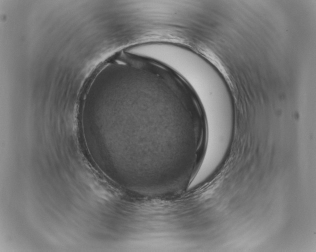 X0000088750387200706141733