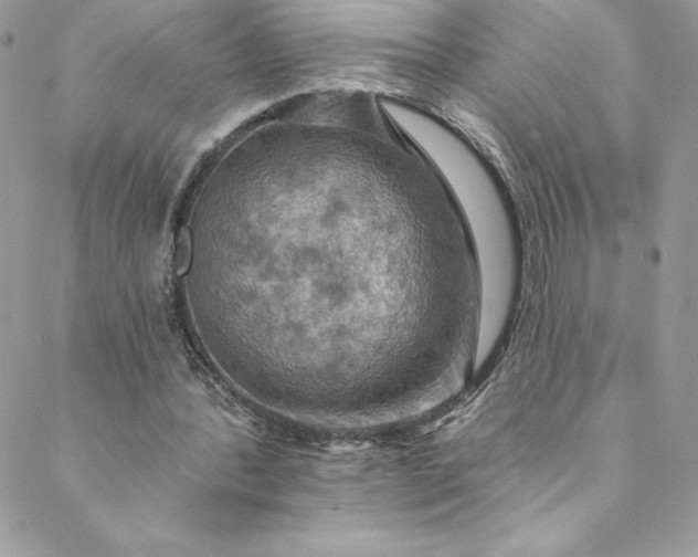 X0000088750388200706141733