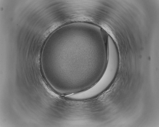 X0000088750389200706141733