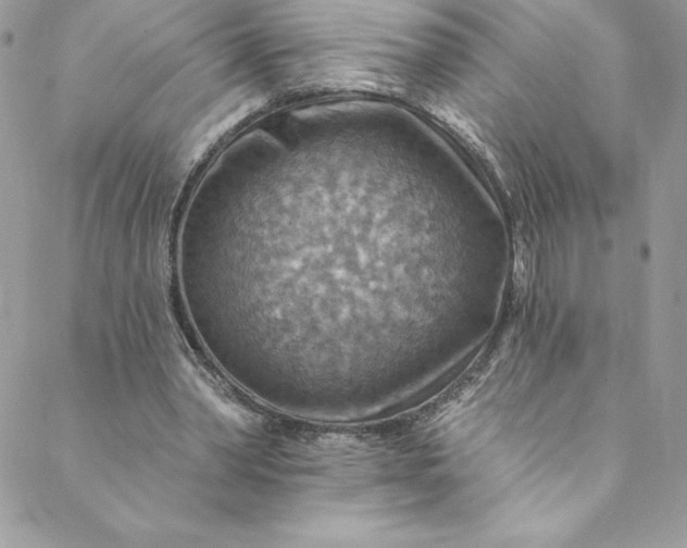 X0000088750390200706141733