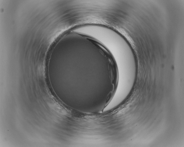 X0000088750391200706141733