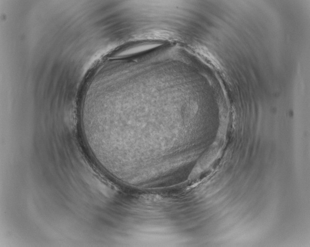 X0000088750392200706141733