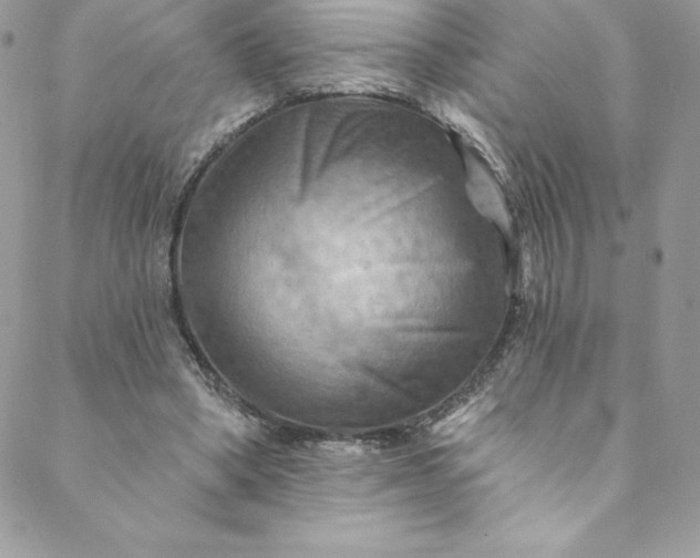 X0000088750394200706141733