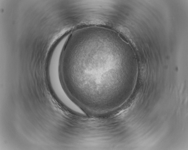 X0000088750395200706141733