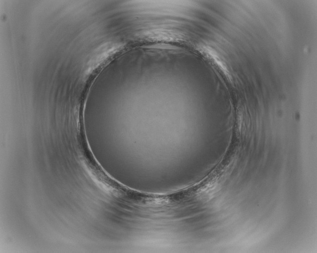 X0000088750398200706141733