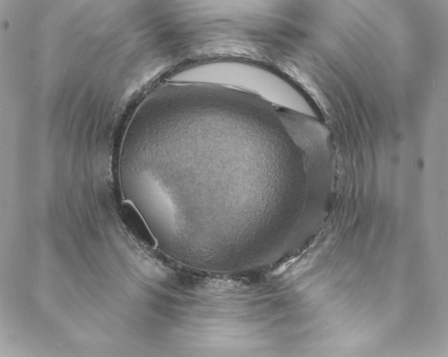 X0000088750399200706141733