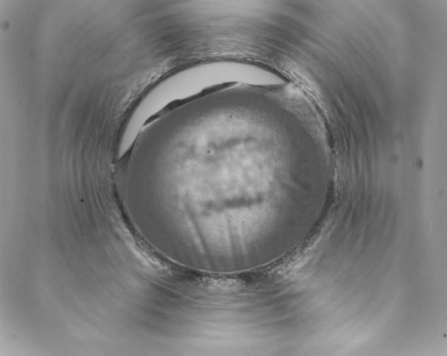 X0000088750401200706141733