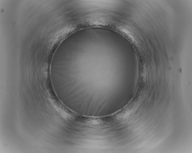 X0000088750402200706141733