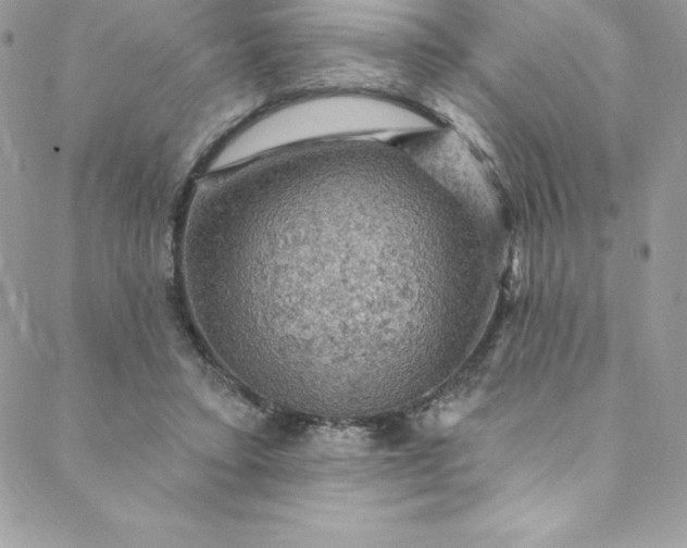 X0000088750403200706141733