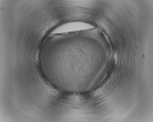 X0000088750404200706141733