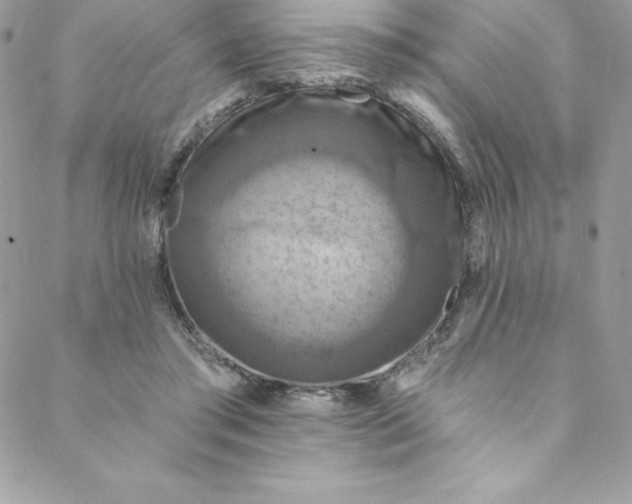 X0000088750405200706141733