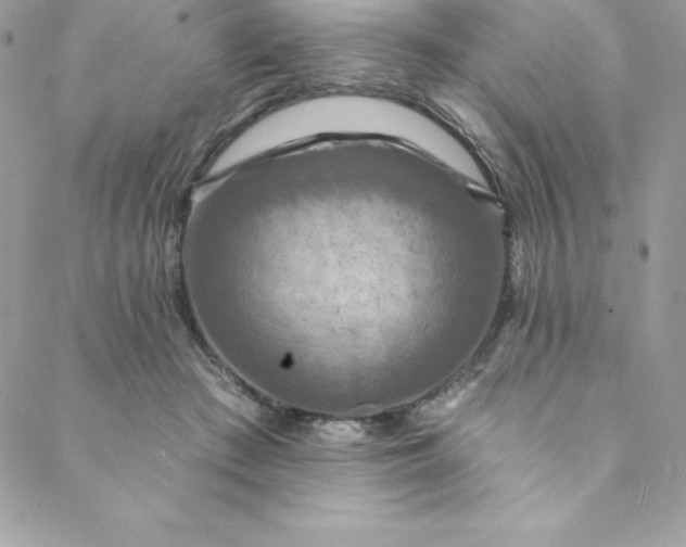 X0000088750409200706141733