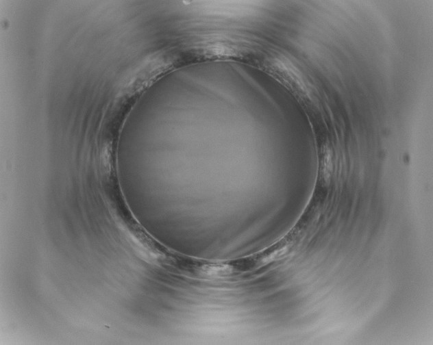 X0000088750410200706141733