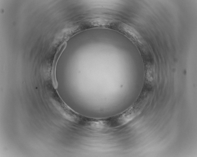 X0000088750411200706141733