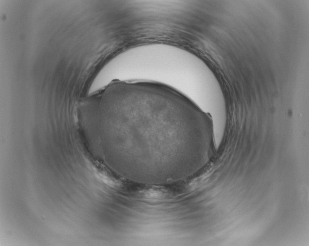 X0000088750412200706141733