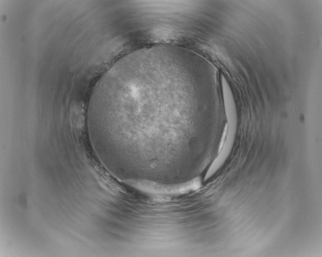 X0000088750413200706141733