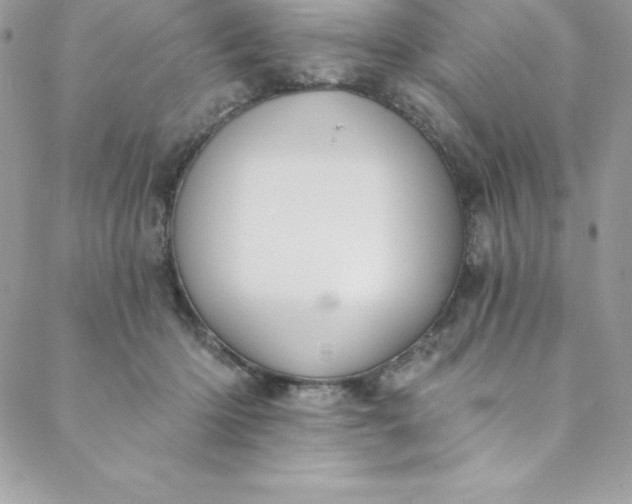 X0000088750414200706141733