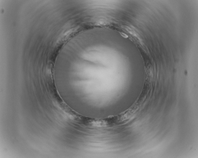 X0000088750415200706141733