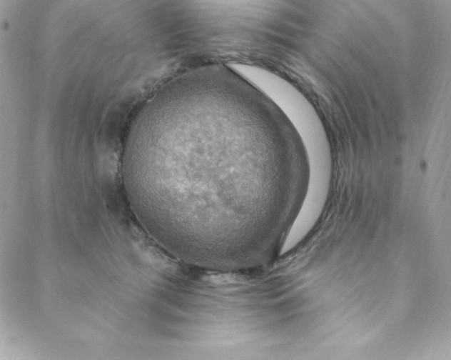 X0000088750417200706141733