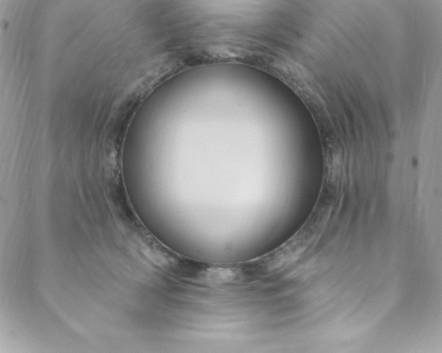 X0000088750418200706141733