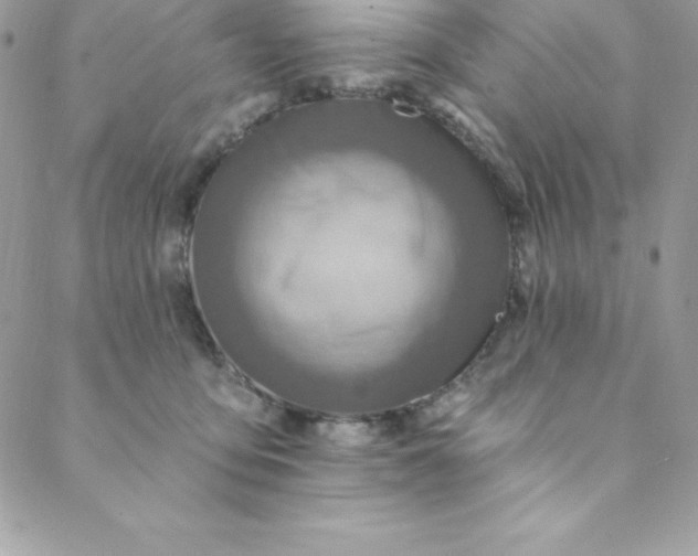 X0000088750419200706141733