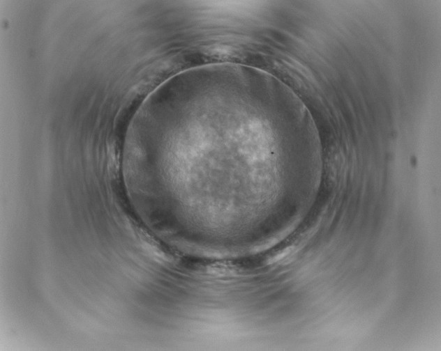 X0000088750420200706141733