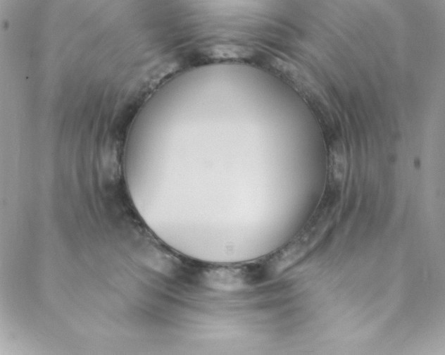 X0000088750422200706141733