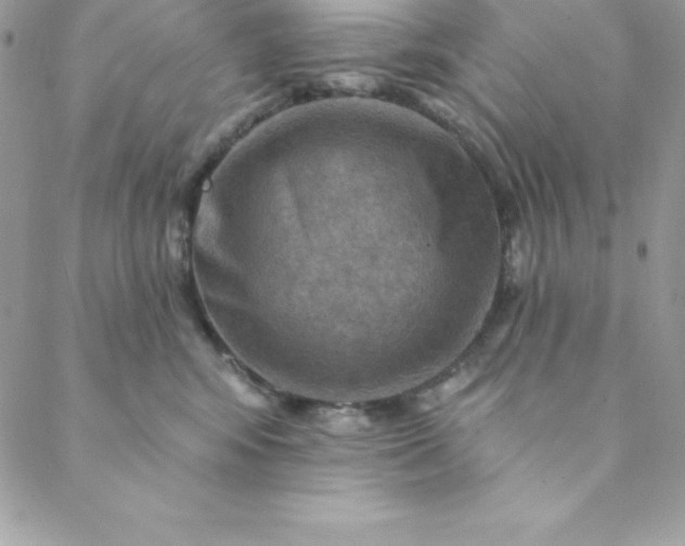 X0000088750424200706141733